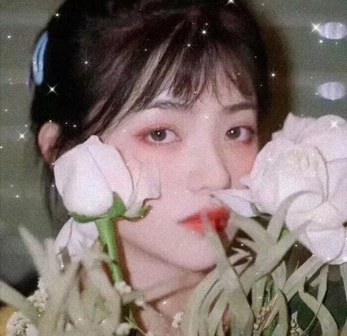 半镜